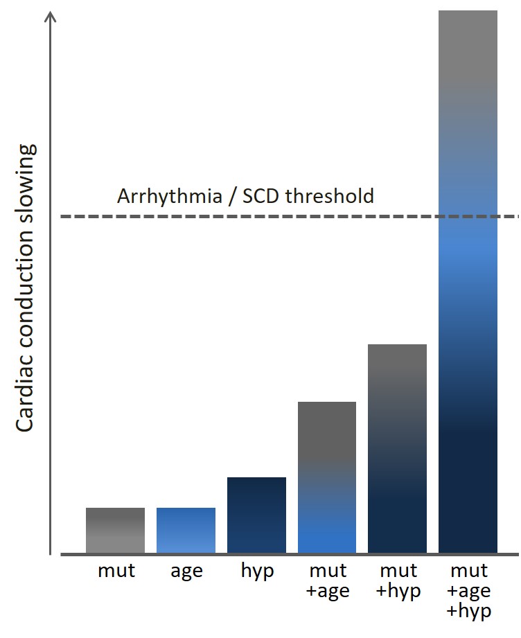 project1 Afbeelding6