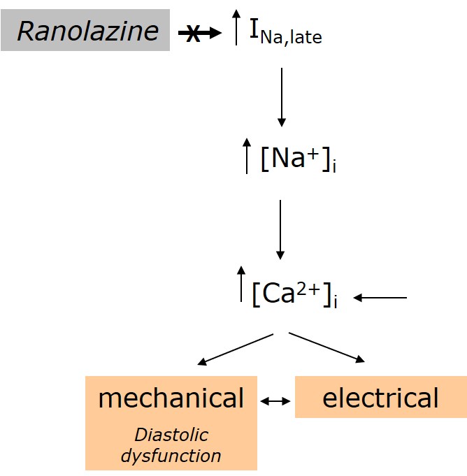 project3 Afbeelding19