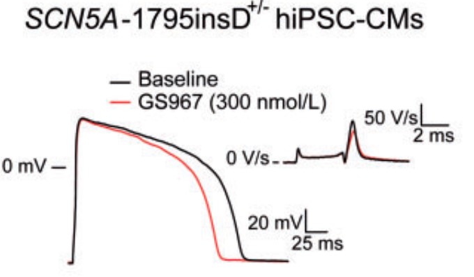 project3 Afbeelding21