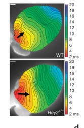 project4 Afbeelding9