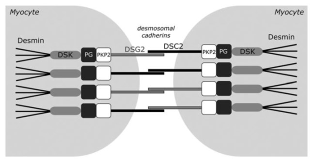 project5 Afbeelding23